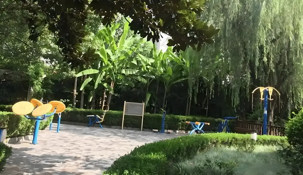 继承者的秘恋