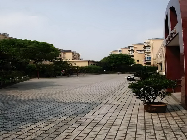 迷糊小仙步步坑